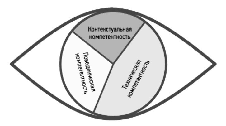 Діаграма символізує погляд менеджера на поточну ситуацію через призму, що встановлюються ICB елементів управління проектами