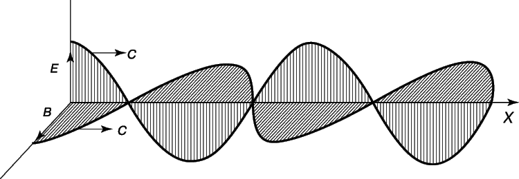 Якщо вектор обертається, але довжина його не змінюється, то кажуть, що поле має кругову поляризацію;  якщо ж довжина вектора періодично змінюється, а сам він обертається, то поле називається еліптично поляризованим