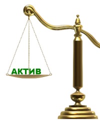У законодавстві РФ є багато різних методик, методів, інструкцій для визначення чистих активів різних правових організаційних форм організацій або типів господарюючих суб'єктів