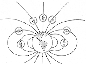 Частинки заповнюють як би величезні кільця або пояса, що охоплюють Землю навколо геомагнітного екватора