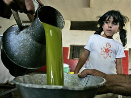 Світові ціни на оливкову олію зросли на 20% за рік